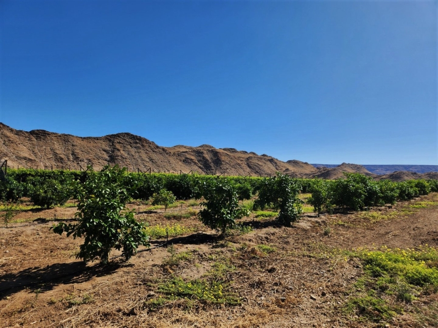 Commercial Property for Sale in Kakamas Rural Northern Cape